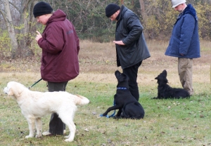Ausbildung