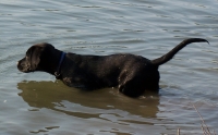 ... ich im Wasser