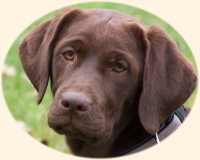 Portrait von Wilma